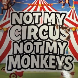 Not My Circus Not My Monkeys Vinyl