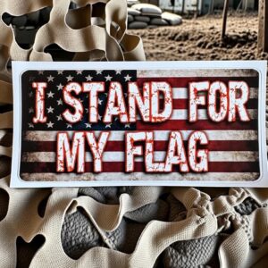 I Stand For My Flag Vinyl
