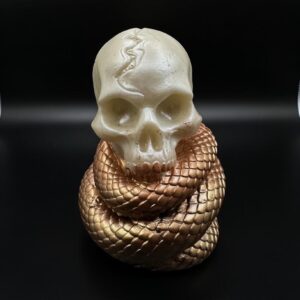 Snake coils around skull